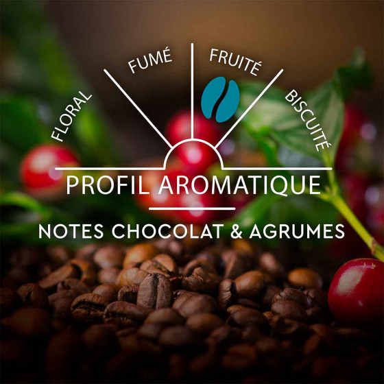 Capsule Nespresso Compatible Café Carte Noire Espresso Classique n°7 - 10 Capsules