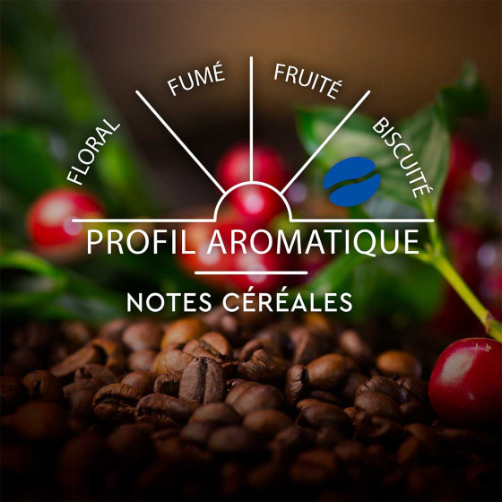 Capsule Nespresso Compatible Carte Noire Espresso Déca n°5 - 10 Capsules