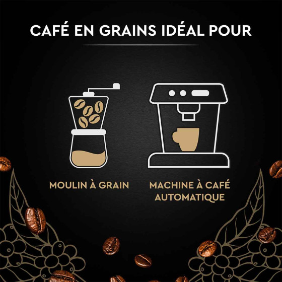 Café en Grains Carte Noire Classique - 3 paquets - 3 Kg