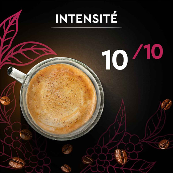 Café en Grains Carte Noire Espresso 100% Arabica - 1 Kg