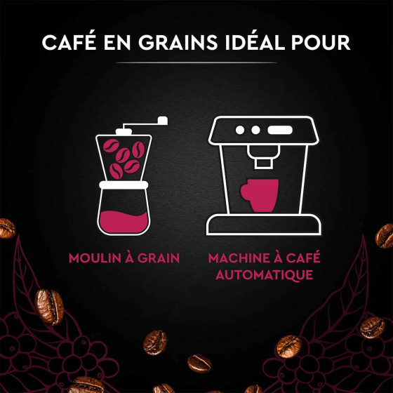 Café en Grains Carte Noire Espresso 100% Arabica - 1 Kg