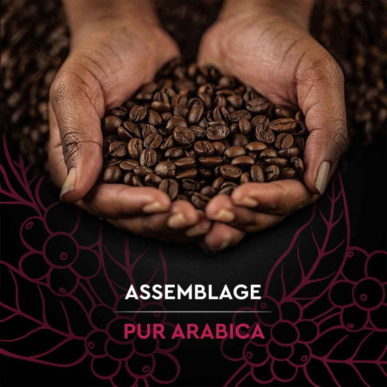 Café en Grains Carte Noire Espresso 100% Arabica - 1 Kg