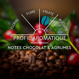 Capsule Nespresso Compatible Café Carte Noire Espresso Classique n°7 - 5 boites - 50 Capsules