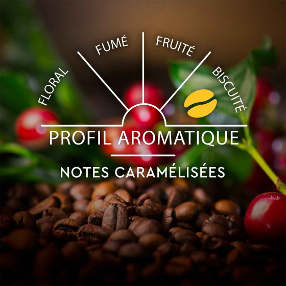 Capsule Nespresso Compatible Café Carte Noire Lungo Classique n°6 - 10 boites - 100 Capsules