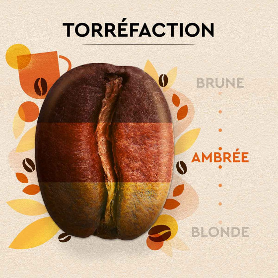 Café En Grains Petit Déjeuner Carte La Boite De 1kg - vue 8