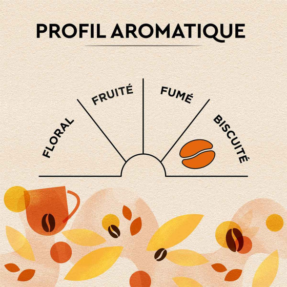 Café en Grains Carte Noire Petit-Déjeuner - 3 paquets - 3 Kg