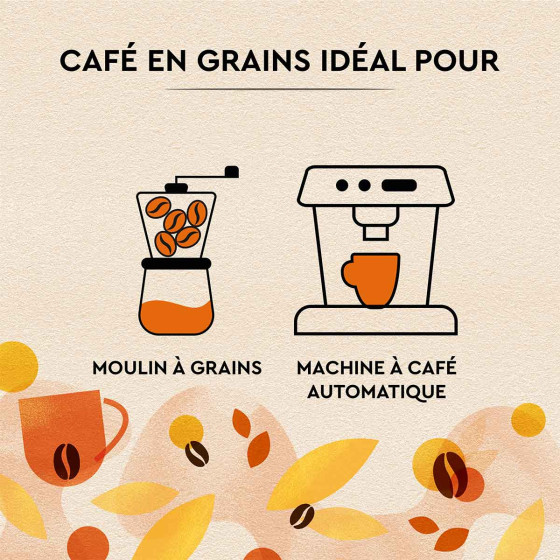 Café en Grains Carte Noire Petit-Déjeuner - 3 paquets - 3 Kg