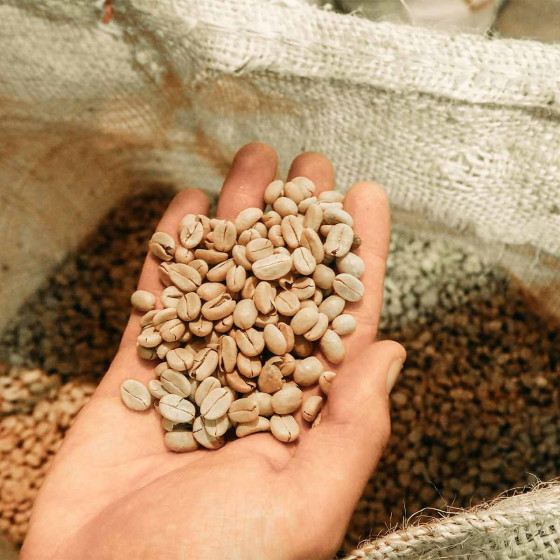 Capsule Starbucks ® by Nespresso ® Colombia - 10 capsules