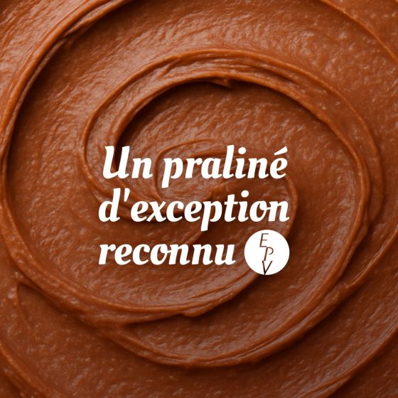Ballotin de 30 chocolats Révillon : Assortiment de 13 recettes Noir et Lait - 310 gr