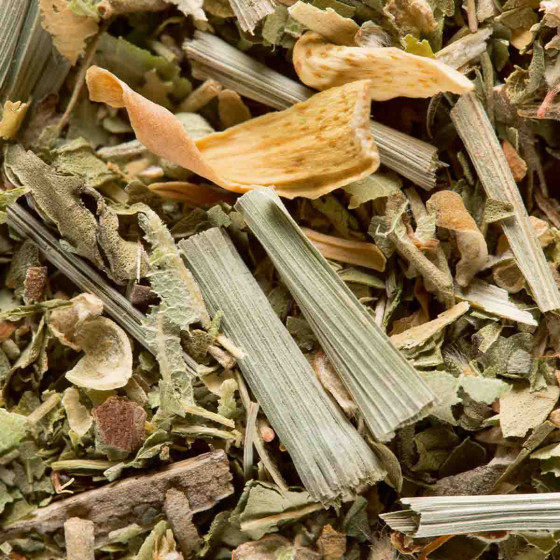 Infusion aromatisée Dammann Frères Tisane du Berger - 25 sachets