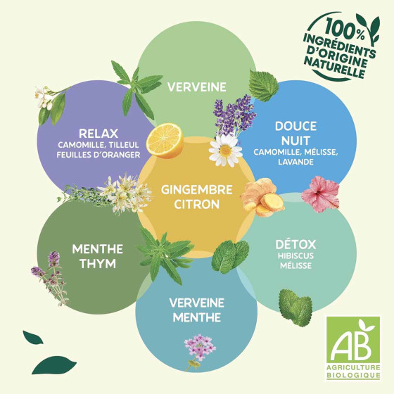 Infusion Éléphant Bio Menthe Thym - 6 boites - 120 sachets pyramide