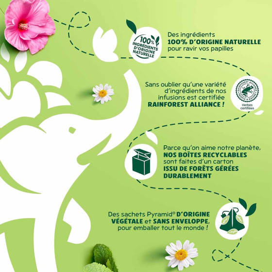 Infusion Éléphant Bio Menthe Thym - 6 boites - 120 sachets pyramide