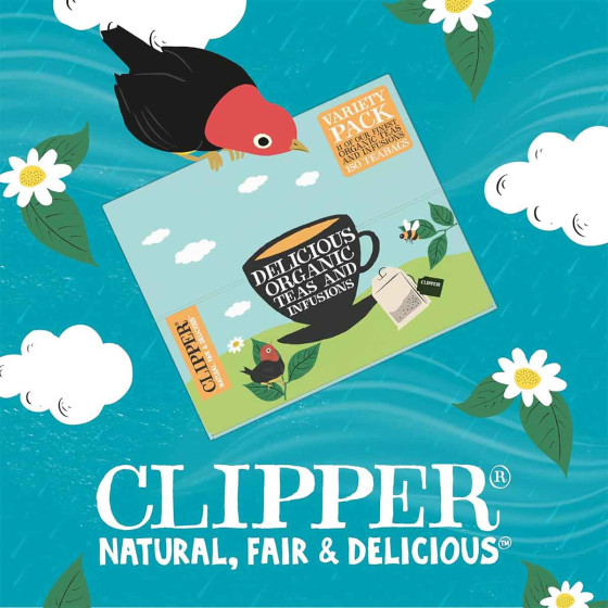 Coffret de Thés et Infusions Bio Clipper 11 variétés - 180 sachets