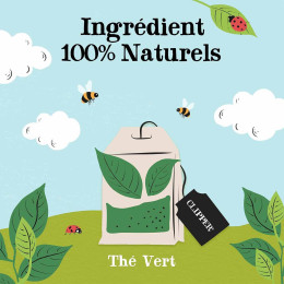 Thé Vert Bio Clipper Vert Nature - 250 sachets