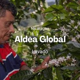 Café de Spécialité en Grains Café Voisin Nicaragua des géants - 1 Kg