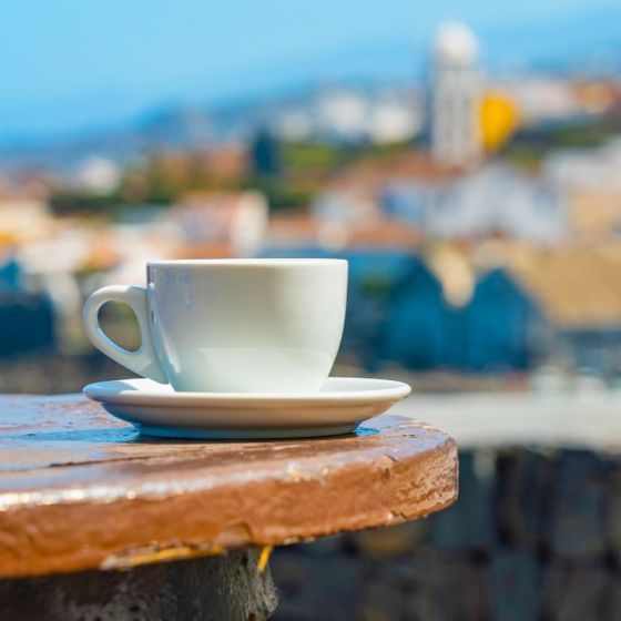 Café de Spécialité en Grains Café Voisin Saint Domingue - 1 Kg