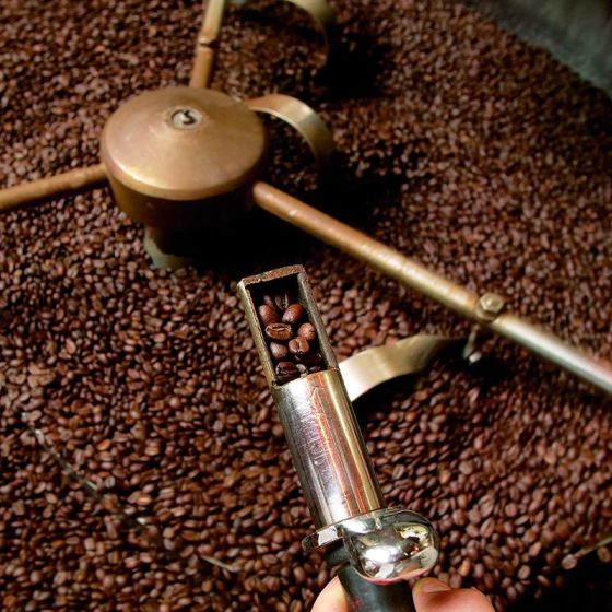 Café de Spécialité en Grains Bio Cafés Richard Moka d'Éthiopie Yrgacheffe Pure Origine - 250 gr