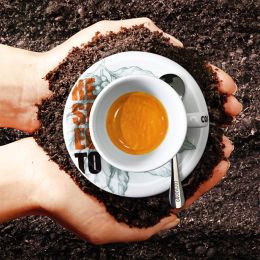 Café en Grains Bio Costadoro Respecto - 250 gr