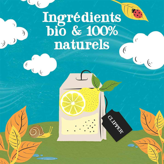 Thé Vert Bio Clipper Citron - 25 sachets
