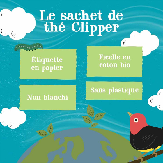 Thé Vert Bio Clipper Citron - 25 sachets