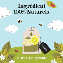 Infusion Bio Clipper Citron Gingembre - 25 sachets