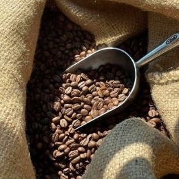 Café de Spécialité en Grains Café Voisin Trois continents - 1 Kg