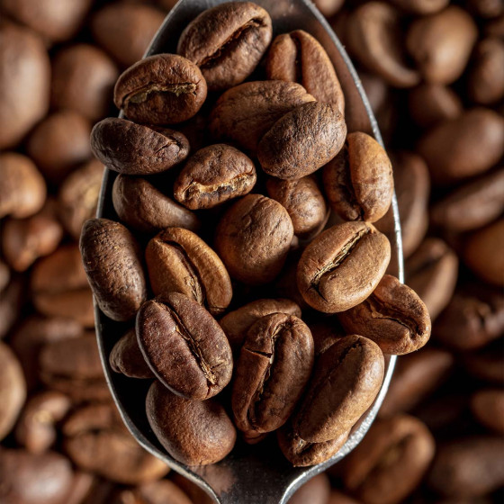 Café en grains Bio Café Bio Green Lion Coffee Mélange Inca