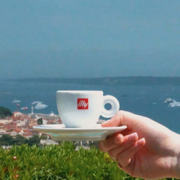 Dosette ESE illy Espresso Torréfaction Forte - 4 boîtes - 72 dosettes emballées individuellement