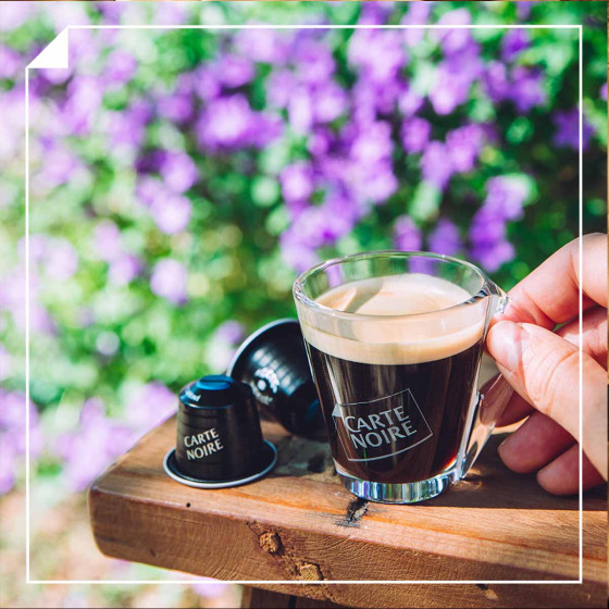Capsule Nespresso Compatible Carte Noire Espresso Déca n°5 - 10 Capsules