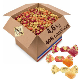 408 Papillotes Pates de fruits - Révillon - 4,6 Kg