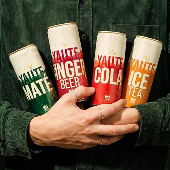 YAUTE Ice Tea Bio Canette Slim 33cl x 24