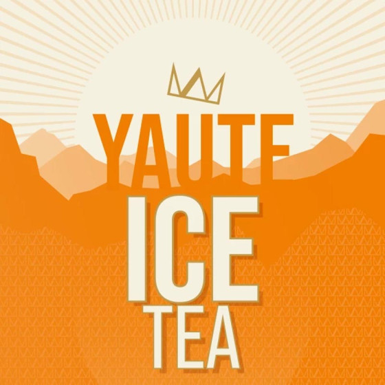 YAUTE Ice Tea Bio Canette Slim 33cl x 24