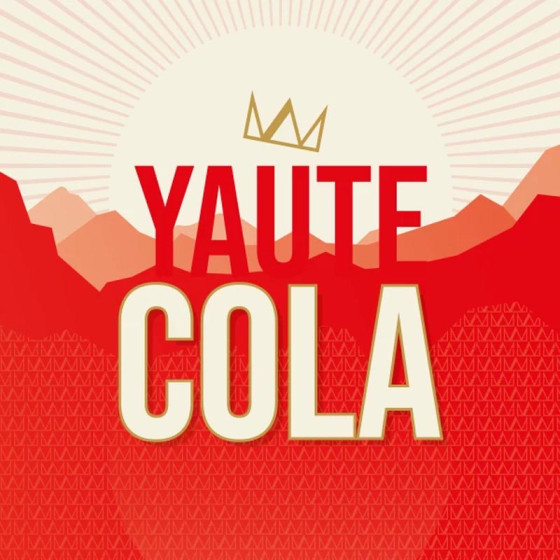 YAUTE Cola Bio Canette Slim 33cl x 24