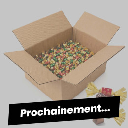 380 Papillotes au Chocolat noir et lait Praliné - 4,6 Kg