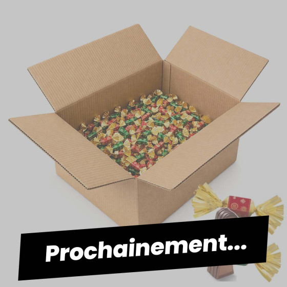 380 Papillotes au Chocolat noir et lait Praliné - 4,6 Kg