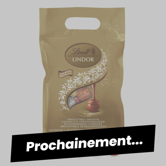 Lindt Sachet Grand format LINDOR Assortiment de Chocolats Cœur Fondant 1kg