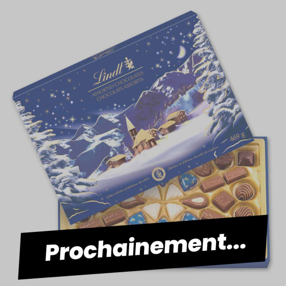 Lindt Boîte PAYSAGE DE NOËL Assorti Assortiment de Chocolats au Lait Noirs et Blancs Idéal pour Noël