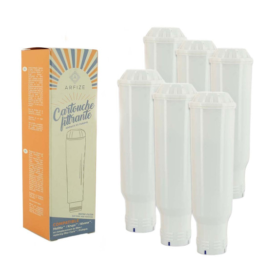 Kit 12 mois d'entretien ARFIZE compatible Krups - 6 cartouches filtrantes + 4 x 50 ml de détartrant