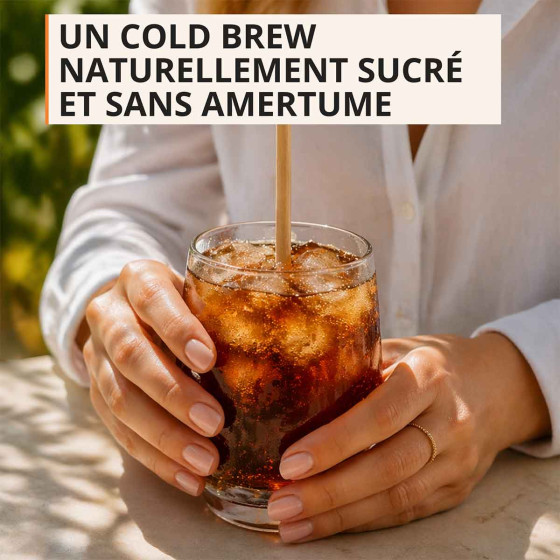 Krups Sensation Hot & Cold EA913HE0 Charbon