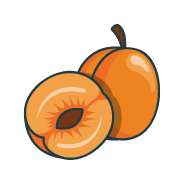 parfumabricot