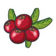 parfumcranberry