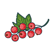 parfumgroseille
