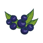 parfummyrtille