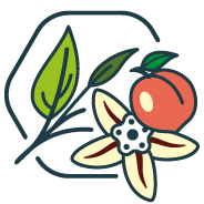 thearomatise