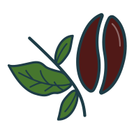 arabica