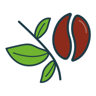 robusta