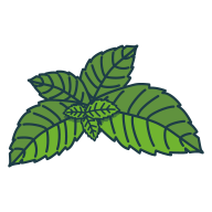 parfummenthe
