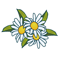 parfumcamomille