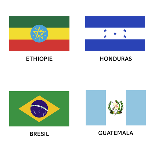 drapeaux territoire café