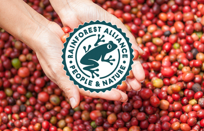 certification rainforest alliance